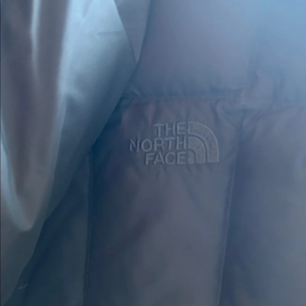 The North Face Charcoal Gray Puffer Coat - Picture 7 of 10